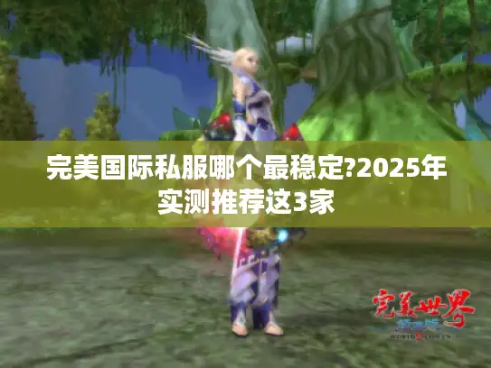 完美国际私服哪个最稳定?2025年实测推荐这3家