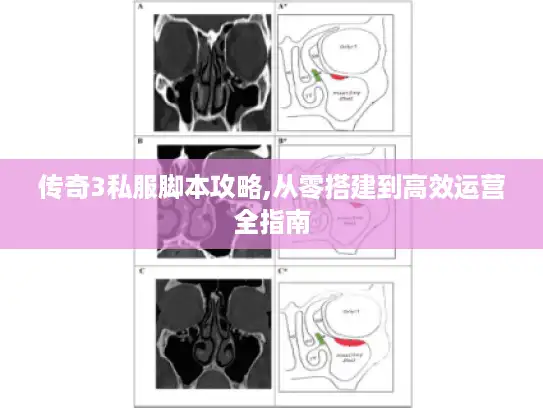 传奇3私服脚本攻略,从零搭建到高效运营全指南 传奇3私服脚本攻略,从零搭建到高效运营全指南