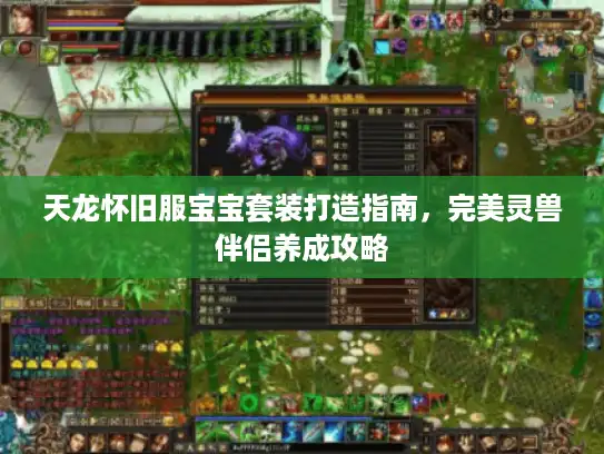 天龙怀旧服宝宝套装打造指南，完美灵兽伴侣养成攻略