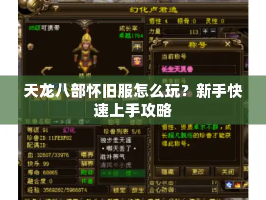 天龙八部怀旧服怎么玩？新手快速上手攻略