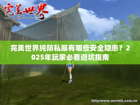 完美世界纯防私服有哪些安全隐患？2025年玩家必看避坑指南