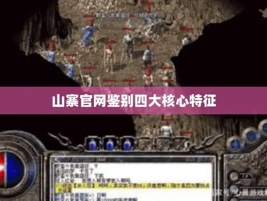 山寨官网鉴别四大核心特征