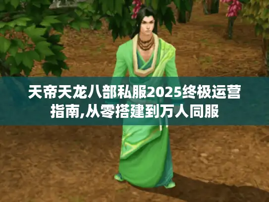 天帝天龙八部私服2025终极运营指南,从零搭建到万人同服