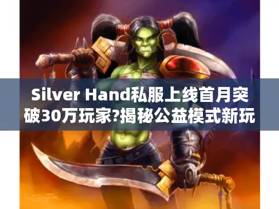 Silver Hand私服上线首月突破30万玩家?揭秘公益模式新玩法