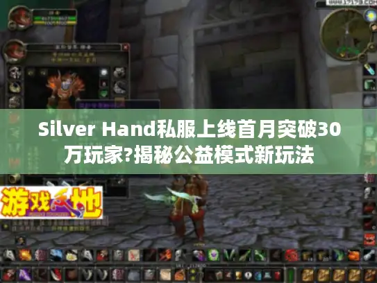 Silver Hand私服上线首月突破30万玩家?揭秘公益模式新玩法