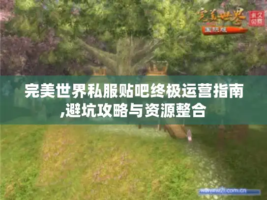 完美世界私服贴吧终极运营指南,避坑攻略与资源整合
