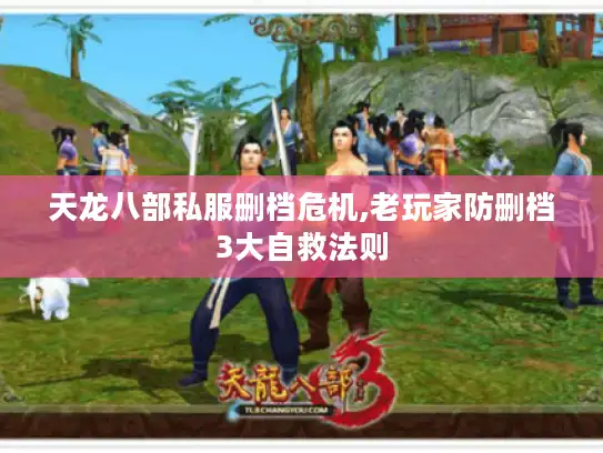 天龙八部私服删档危机,老玩家防删档3大自救法则