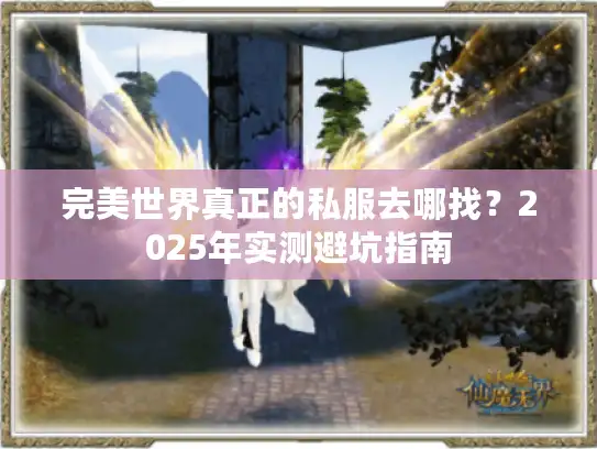完美世界真正的私服去哪找？2025年实测避坑指南