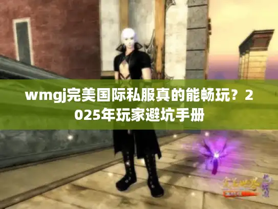 wmgj完美国际私服真的能畅玩?2025年玩家避坑手册 wmgj完美国际私服真的能畅玩?2025年玩家避坑手册