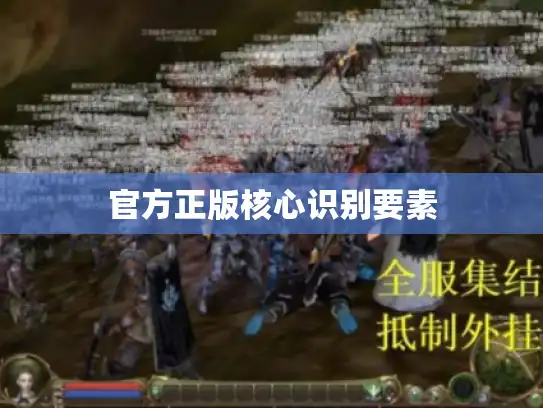 官方正版核心识别要素