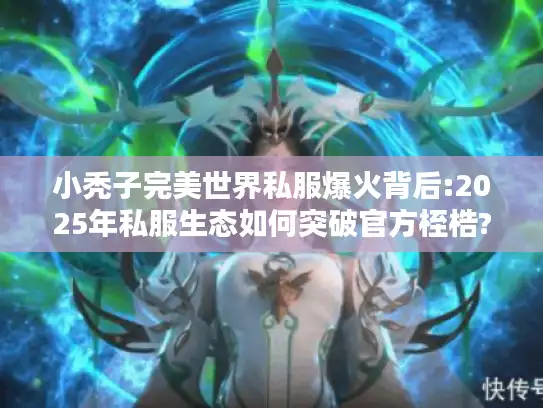 小秃子完美世界私服爆火背后:2025年私服生态如何突破官方桎梏?