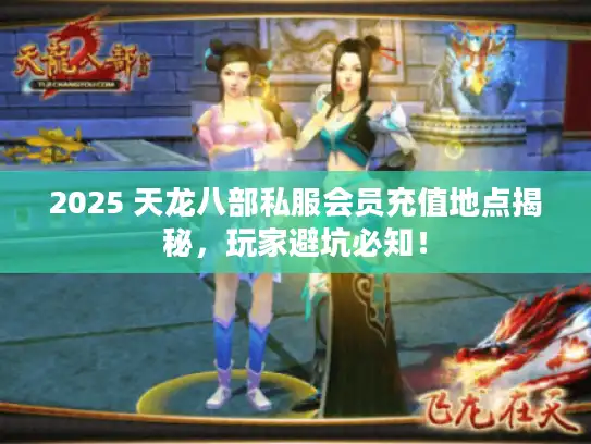 2025 天龙八部私服会员充值地点揭秘，玩家避坑必知！