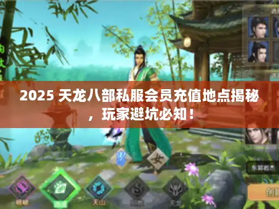 2025 天龙八部私服会员充值地点揭秘，玩家避坑必知！