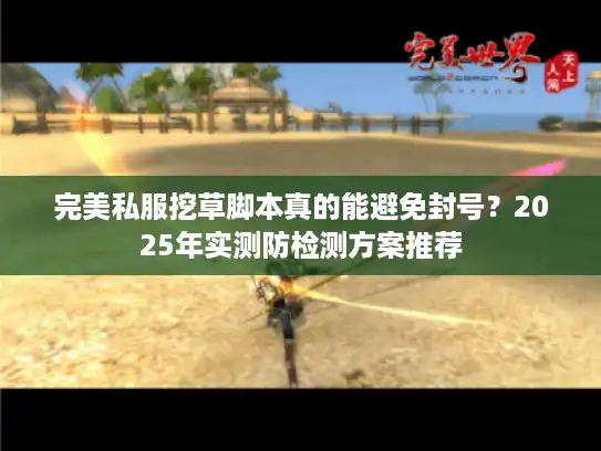 完美私服挖草脚本真的能避免封号？2025年实测防检测方案推荐