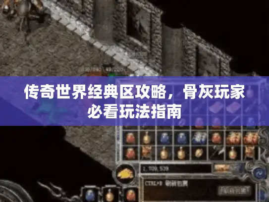 传奇世界经典区攻略，骨灰玩家必看玩法指南