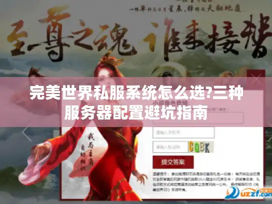 完美世界私服系统怎么选?三种服务器配置避坑指南