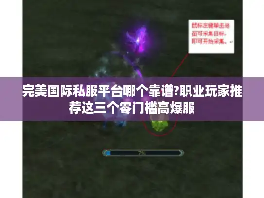 完美国际私服平台哪个靠谱?职业玩家推荐这三个零门槛高爆服