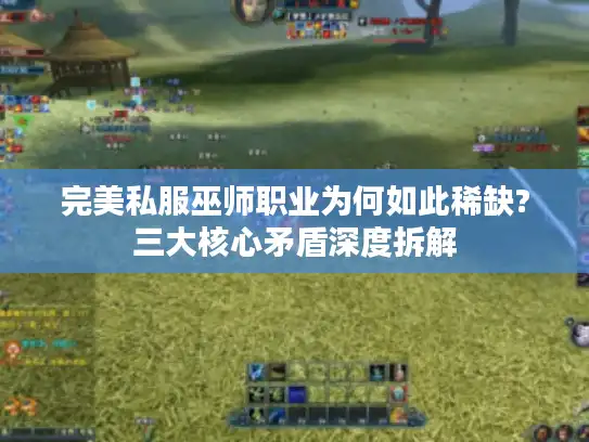 完美私服巫师职业为何如此稀缺?三大核心矛盾深度拆解