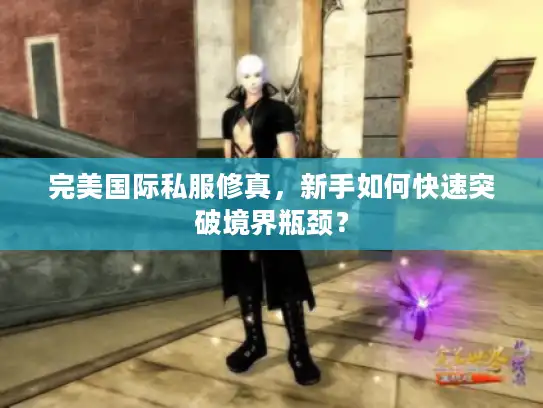 完美国际私服修真，新手如何快速突破境界瓶颈？
