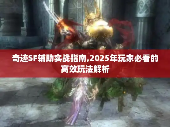 奇迹SF辅助实战指南,2025年玩家必看的高效玩法解析