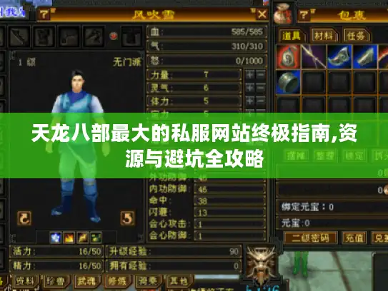 天龙八部最大的私服网站终极指南,资源与避坑全攻略