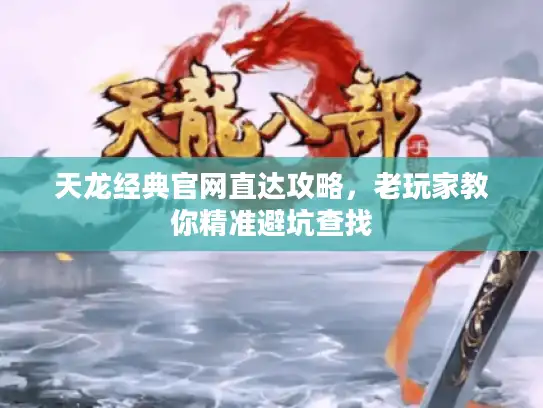 天龙经典官网直达攻略，老玩家教你精准避坑查找