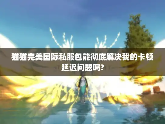 猫猫完美国际私服包能彻底解决我的卡顿延迟问题吗?