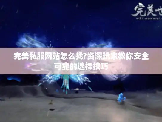 完美私服网站怎么找?资深玩家教你安全可靠的选择技巧