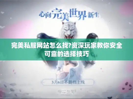 完美私服网站怎么找?资深玩家教你安全可靠的选择技巧