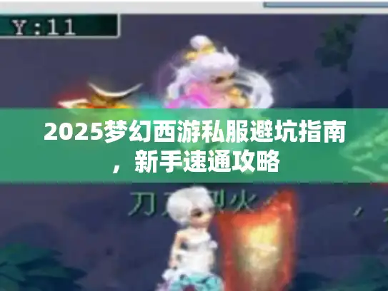 2025梦幻西游私服避坑指南，新手速通攻略