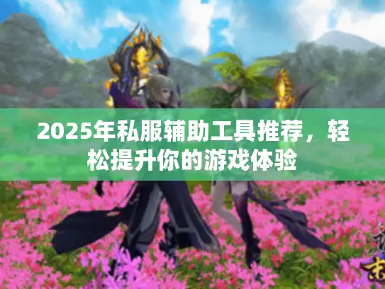 2025年私服辅助工具推荐，轻松提升你的游戏体验