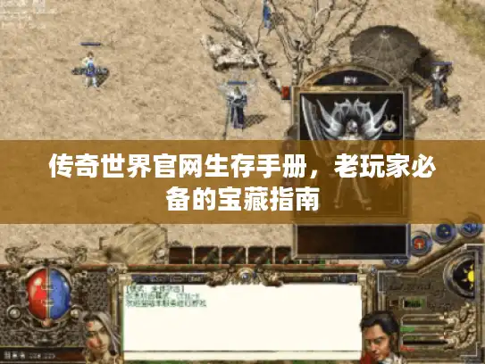 传奇世界官网生存手册，老玩家必备的宝藏指南