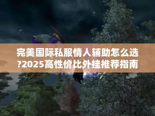 完美国际私服情人辅助怎么选?2025高性价比外挂推荐指南