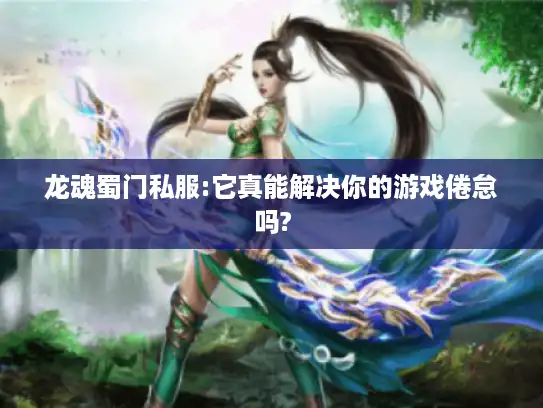 龙魂蜀门私服:它真能解决你的游戏倦怠吗?
