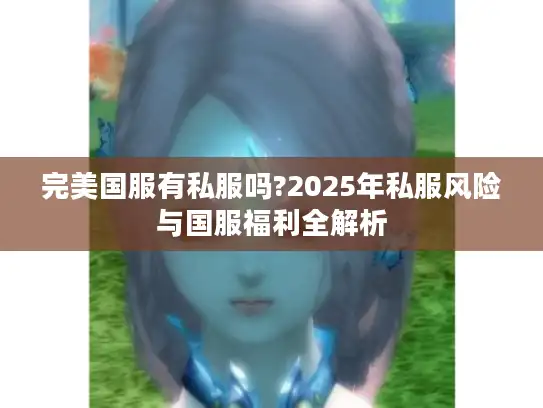 完美国服有私服吗?2025年私服风险与国服福利全解析