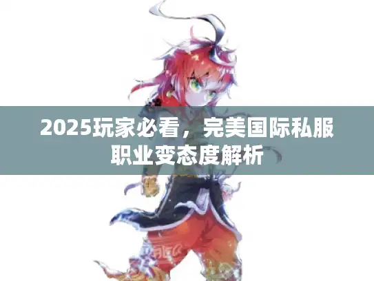2025玩家必看，完美国际私服职业变态度解析