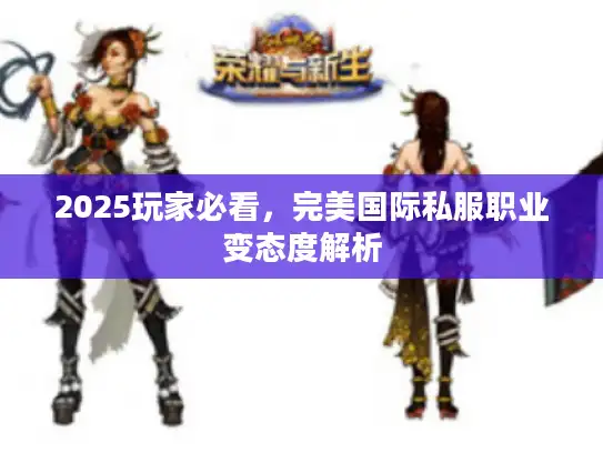 2025玩家必看，完美国际私服职业变态度解析