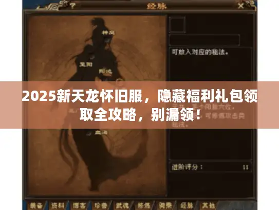 2025新天龙怀旧服，隐藏福利礼包领取全攻略，别漏领！