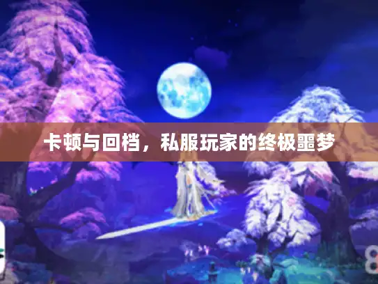 卡顿与回档，私服玩家的终极噩梦