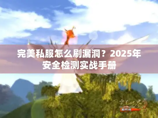 完美私服怎么刷漏洞？2025年安全检测实战手册