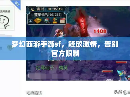 梦幻西游手游sf，释放激情，告别官方限制