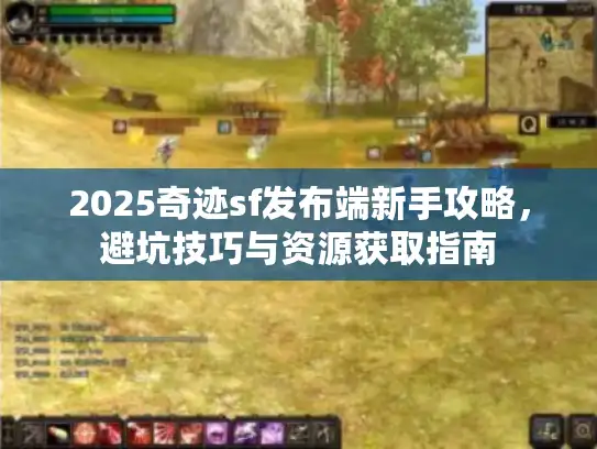 2025奇迹sf发布端新手攻略，避坑技巧与资源获取指南