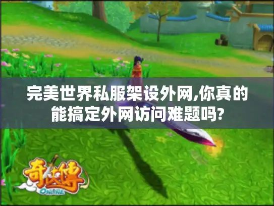 完美世界私服架设外网,你真的能搞定外网访问难题吗? 完美世界私服架设外网,你真的能搞定外网访问难题吗?