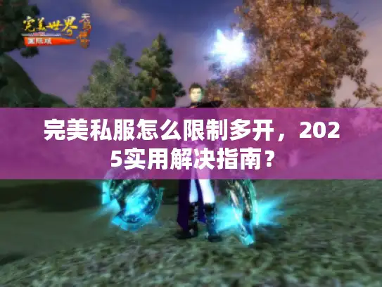 完美私服怎么限制多开，2025实用解决指南？
