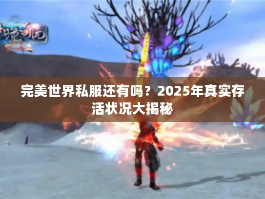 完美世界私服还有吗？2025年真实存活状况大揭秘
