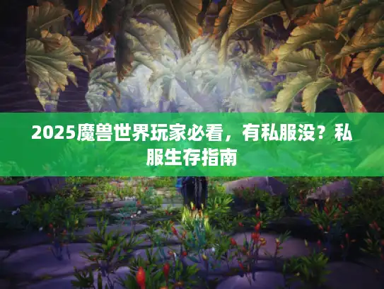 2025魔兽世界玩家必看，有私服没？私服生存指南