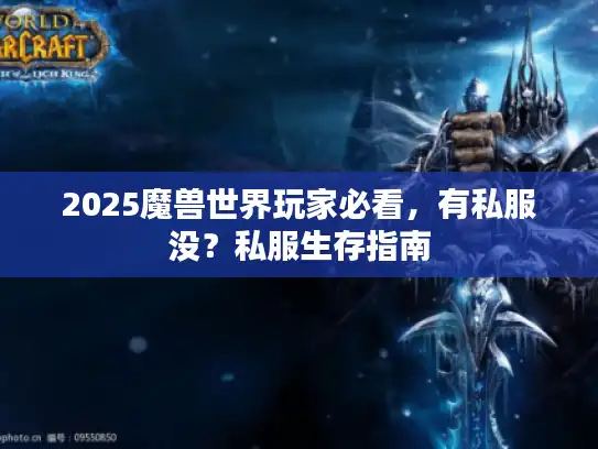 2025魔兽世界玩家必看，有私服没？私服生存指南