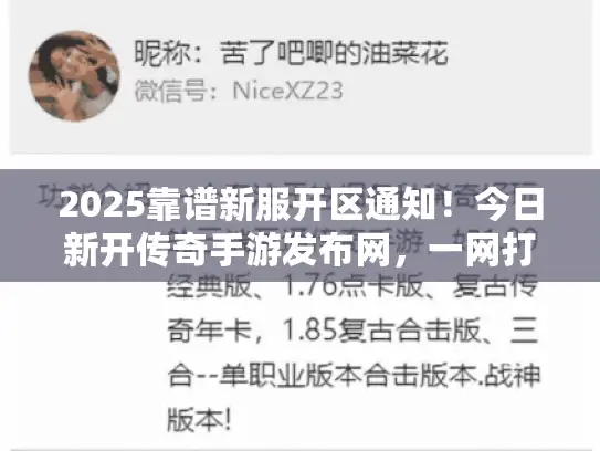 2025靠谱新服开区通知！今日新开传奇手游发布网，一网打尽不迷路！