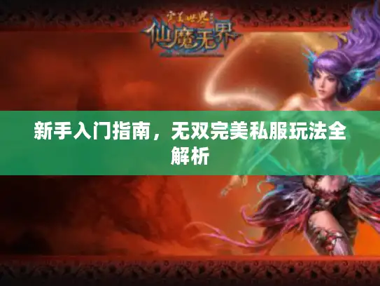 新手入门指南，无双完美私服玩法全解析