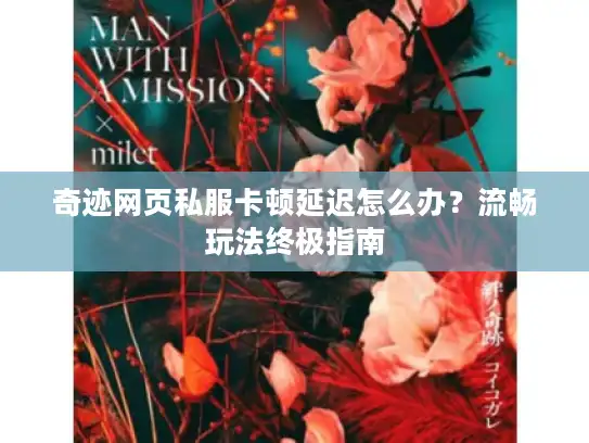 奇迹网页私服卡顿延迟怎么办？流畅玩法终极指南